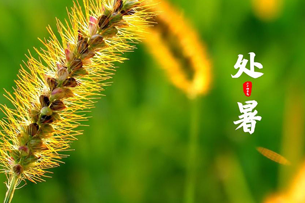 J9����վ���á�Ψһ���ٷ���վ