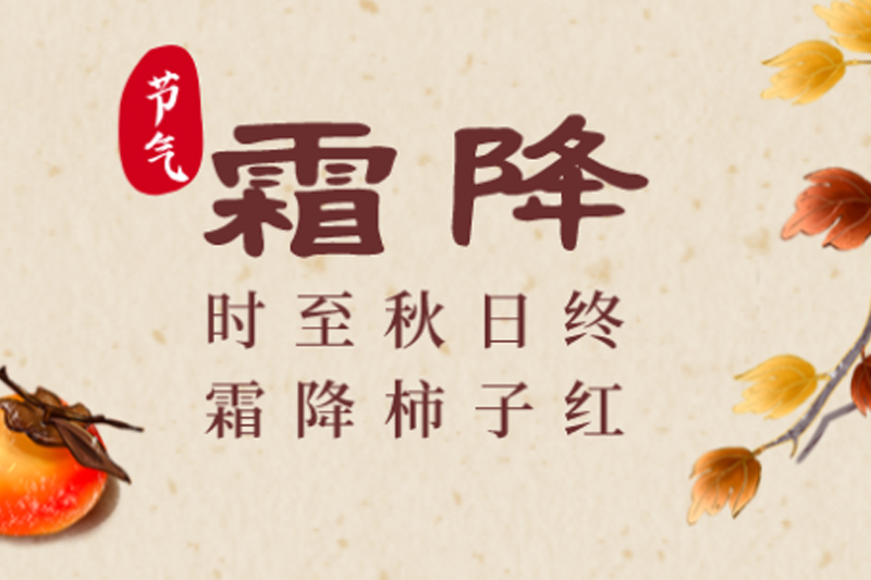 J9����վ���á�Ψһ���ٷ���վ